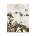 Picture of Romantic Blur Peony V _GroupedProduct_Rectangle_Portrait_Photography _GroupedProduct_Rectangle_Portrait_Unframed_Print_Only_