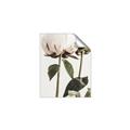 Picture of Romantic Blur Peony IV _GroupedProduct_Rectangle_Portrait_Photography _GroupedProduct_Rectangle_Portrait_Unframed_Print_Only_