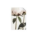 Picture of Romantic Blur Peony IV _GroupedProduct_Rectangle_Portrait_Photography _GroupedProduct_Rectangle_Portrait_Unframed_Print_Only_