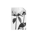 Picture of Romantic Blur Peony IV _GroupedProduct_Rectangle_Portrait_Photography _GroupedProduct_Rectangle_Portrait_Unframed_Print_Only_