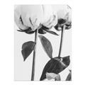 Picture of Romantic Blur Peony IV _GroupedProduct_Rectangle_Portrait_Photography _GroupedProduct_Rectangle_Portrait_Unframed_Print_Only_