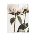 Picture of Romantic Blur Peony IV _GroupedProduct_Rectangle_Portrait_Photography _GroupedProduct_Rectangle_Portrait_Unframed_Print_Only_