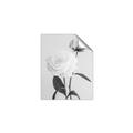 Picture of Romantic Blur Peony III _GroupedProduct_Rectangle_Portrait_Photography _GroupedProduct_Rectangle_Portrait_Unframed_Print_Only_