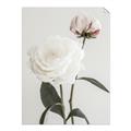 Picture of Romantic Blur Peony III _GroupedProduct_Rectangle_Portrait_Photography _GroupedProduct_Rectangle_Portrait_Unframed_Print_Only_