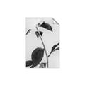 Picture of Romantic Blur Peony II _GroupedProduct_Rectangle_Portrait_Photography _GroupedProduct_Rectangle_Portrait_Unframed_Print_Only_