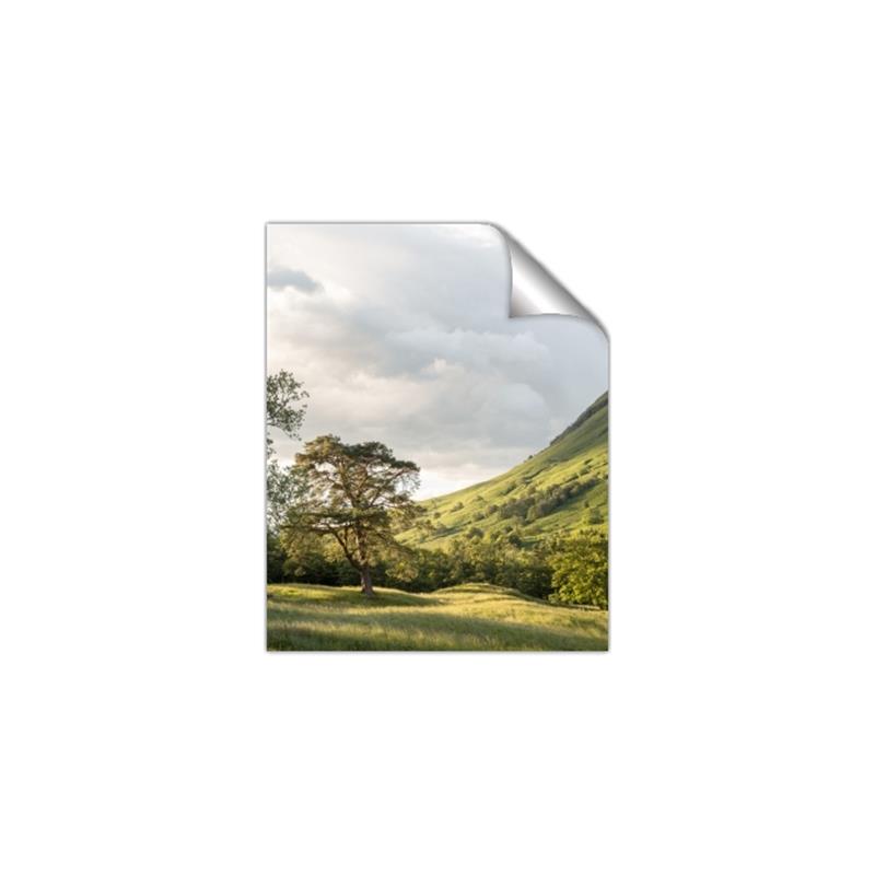 Picture of Green Spring Highlands _GroupedProduct_Rectangle_Portrait_Photography _GroupedProduct_Rectangle_Portrait_Unframed_Print_Only_