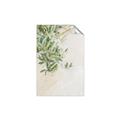 Picture of Few Olive Tree Leaves _GroupedProduct_Rectangle_Portrait_Photography _GroupedProduct_Rectangle_Portrait_Unframed_Print_Only_