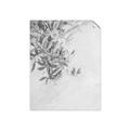 Picture of Few Olive Tree Leaves _GroupedProduct_Rectangle_Portrait_Photography _GroupedProduct_Rectangle_Portrait_Unframed_Print_Only_