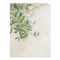 Picture of Few Olive Tree Leaves _GroupedProduct_Rectangle_Portrait_Photography _GroupedProduct_Rectangle_Portrait_Unframed_Print_Only_