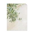 Picture of Few Olive Tree Leaves _GroupedProduct_Rectangle_Portrait_Photography _GroupedProduct_Rectangle_Portrait_Unframed_Print_Only_