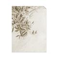 Picture of Few Olive Tree Leaves _GroupedProduct_Rectangle_Portrait_Photography _GroupedProduct_Rectangle_Portrait_Unframed_Print_Only_