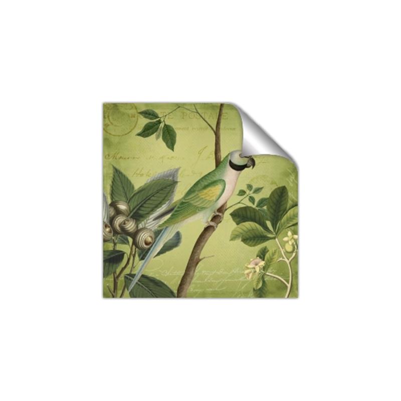 Picture of Vintage Tropical Birds I _GroupedProduct_Square_Unframed_Print_Only_