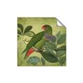 Picture of Vintage Tropical Birds II _GroupedProduct_Square_Unframed_Print_Only_