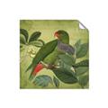 Picture of Vintage Tropical Birds II _GroupedProduct_Square_Unframed_Print_Only_
