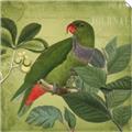 Picture of Vintage Tropical Birds II _GroupedProduct_Square_Unframed_Print_Only_