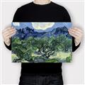 Picture of Vincent Van Gogh's Olive Trees With the Alpilles (1889) _GroupedProduct_Rectangle_Landscape_Canvas_
