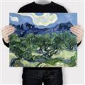Picture of Vincent Van Gogh's Olive Trees With the Alpilles (1889) _GroupedProduct_Rectangle_Landscape_Canvas_