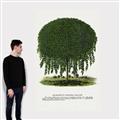 Picture of Kilmarnock Weeping Willow Tree Lithograph _GroupedProduct_Rectangle_Portrait_Canvas_