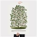 Picture of Hardy Magnolia Tree Lithograph _GroupedProduct_Rectangle_Portrait_Canvas_