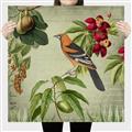 Picture of Tangerine Vintage Bird _GroupedProduct_Square_Canvas_