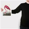 Picture of Vintage Pink Flamingo _GroupedProduct_Rectangle_Portrait_Canvas_