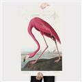 Picture of Vintage Pink Flamingo _GroupedProduct_Rectangle_Portrait_Canvas_