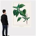 Picture of Nostalgic Green Lilac Leaves _GroupedProduct_Rectangle_Portrait_Canvas_