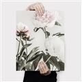 Picture of Romantic Blur Peony V _GroupedProduct_Rectangle_Portrait_Photography _GroupedProduct_Rectangle_Portrait_Canvas_