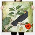 Picture of Tropical Paradise Birds Garden _GroupedProduct_Square_Canvas_