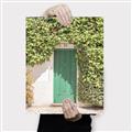 Picture of Green Door with Lush Leaves _GroupedProduct_Rectangle_Portrait_Photography _GroupedProduct_Rectangle_Portrait_Canvas_
