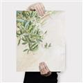 Picture of Few Olive Tree Leaves _GroupedProduct_Rectangle_Portrait_Photography _GroupedProduct_Rectangle_Portrait_Canvas_