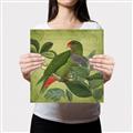 Picture of Vintage Tropical Birds II _GroupedProduct_Square_Canvas_