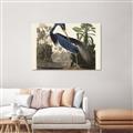 Picture of Vintage Heron Bird _GroupedProduct_Rectangle_Landscape_Canvas_