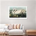 Picture of Vintage Floating White Swan _GroupedProduct_Rectangle_Landscape_Canvas_