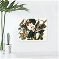 Picture of Black Billed Cuckoo Bird _GroupedProduct_Rectangle_Landscape_Canvas_
