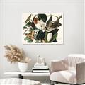 Picture of Black Billed Cuckoo Bird _GroupedProduct_Rectangle_Landscape_Canvas_