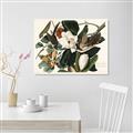 Picture of Black Billed Cuckoo Bird _GroupedProduct_Rectangle_Landscape_Canvas_