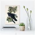 Picture of Raven From Birds of America (1827) _GroupedProduct_Rectangle_Portrait_Canvas_