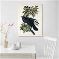 Picture of Raven From Birds of America (1827) _GroupedProduct_Rectangle_Portrait_Canvas_