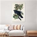 Picture of Raven From Birds of America (1827) _GroupedProduct_Rectangle_Portrait_Canvas_