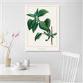 Picture of Nostalgic Green Lilac Leaves _GroupedProduct_Rectangle_Portrait_Canvas_