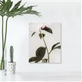 Picture of Romantic Blur Peony II _GroupedProduct_Rectangle_Portrait_Photography _GroupedProduct_Rectangle_Portrait_Canvas_