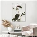 Picture of Romantic Blur Peony II _GroupedProduct_Rectangle_Portrait_Photography _GroupedProduct_Rectangle_Portrait_Canvas_