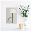 Picture of Romantic Blur Peony I _GroupedProduct_Rectangle_Portrait_Photography _GroupedProduct_Rectangle_Portrait_Canvas_