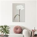 Picture of Romantic Blur Peony I _GroupedProduct_Rectangle_Portrait_Photography _GroupedProduct_Rectangle_Portrait_Canvas_