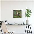 Picture of Tropical Paradise Toucan Bird _GroupedProduct_Square_Canvas_