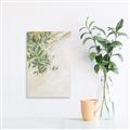 Picture of Few Olive Tree Leaves _GroupedProduct_Rectangle_Portrait_Photography _GroupedProduct_Rectangle_Portrait_Canvas_
