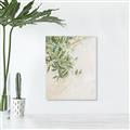 Picture of Few Olive Tree Leaves _GroupedProduct_Rectangle_Portrait_Photography _GroupedProduct_Rectangle_Portrait_Canvas_