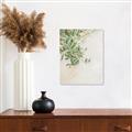 Picture of Few Olive Tree Leaves _GroupedProduct_Rectangle_Portrait_Photography _GroupedProduct_Rectangle_Portrait_Canvas_