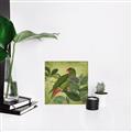 Picture of Vintage Tropical Birds II _GroupedProduct_Square_Canvas_